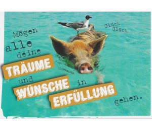 Postkarte - Schweine Wünsche